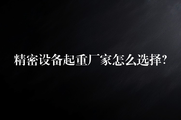 精密設(shè)備起重廠家怎么選擇？