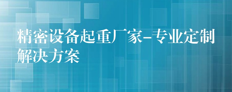 精密設(shè)備起重廠家-專業(yè)定制解決方案