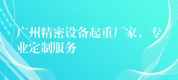 廣州精密設(shè)備起重廠家，專業(yè)定制服務(wù)